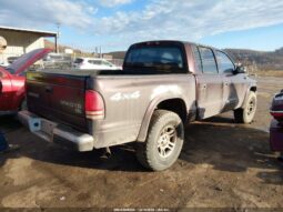 
										2004 Dodge Dakota full									