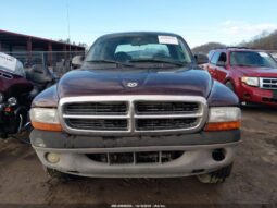 
										2004 Dodge Dakota full									