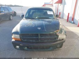 
										1999 Dodge Dakota full									