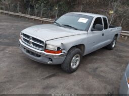 
										1999 Dodge Dakota full									