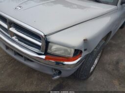 
										1999 Dodge Dakota full									