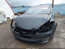
										2019 Tesla Model x full									