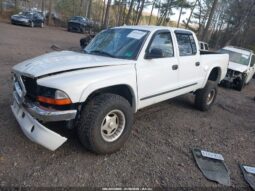 
										2000 Dodge Dakota full									