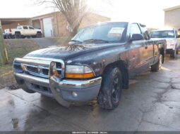
										1998 Dodge Dakota full									