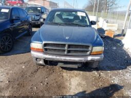 
										2002 Dodge Dakota full									