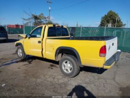 
										1999 Dodge Dakota full									