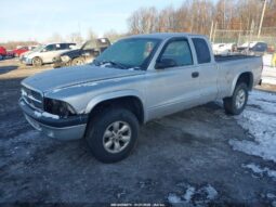 
										2004 Dodge Dakota full									