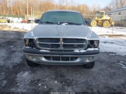 
										2004 Dodge Dakota full									