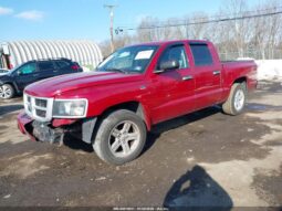 
										2010 Dodge Dakota full									