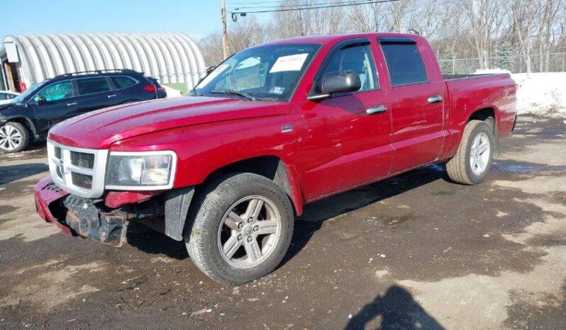 
								2010 Dodge Dakota full									