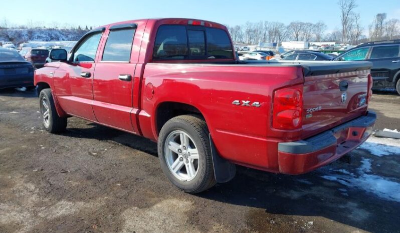 
								2010 Dodge Dakota full									