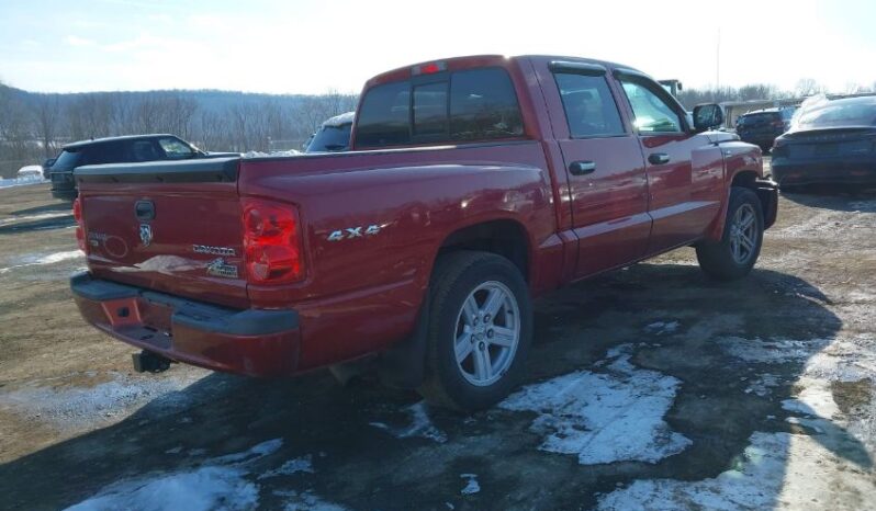 
								2010 Dodge Dakota full									
