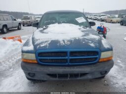 
										2003 Dodge Dakota full									