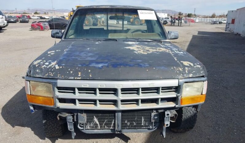 
								1995 Dodge Dakota full									