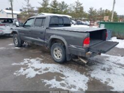 
										2002 Dodge Dakota full									