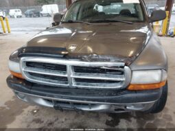 
										2003 Dodge Dakota full									