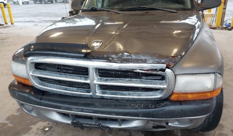 
								2003 Dodge Dakota full									