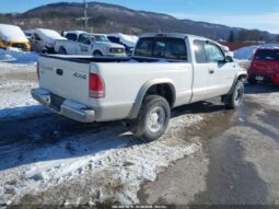 
										2000 Dodge Dakota full									