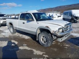 
										2000 Dodge Dakota full									