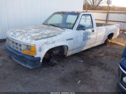 
										1993 Dodge Dakota full									