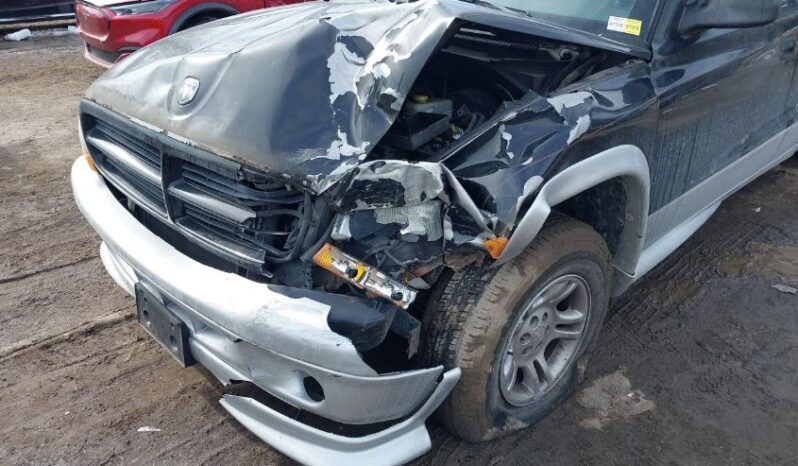 
								2003 Dodge Dakota full									