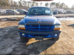 
										2001 Dodge Dakota full									