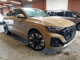 
										2025 Audi Q8 full									