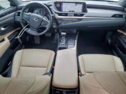 
										2019 Lexus Es 350 full									
