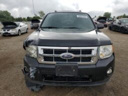 
										2012 Ford Escape xlt full									