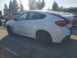 
										2019 BMW X6 full									
