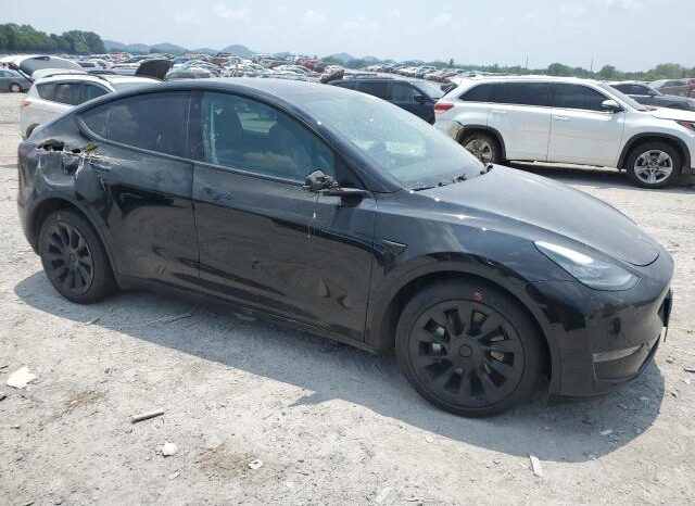 
								2021 Tesla Model y full									