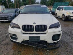 
										2014 BMW X6 full									