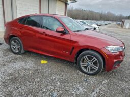 
										2019 BMW X6 full									