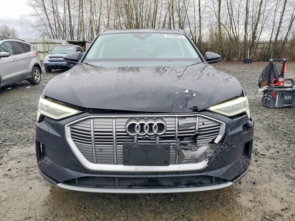2019 Audi E-tron