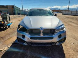 
										2018 BMW X6 full									