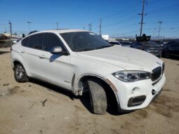 
										2018 BMW X6 full									