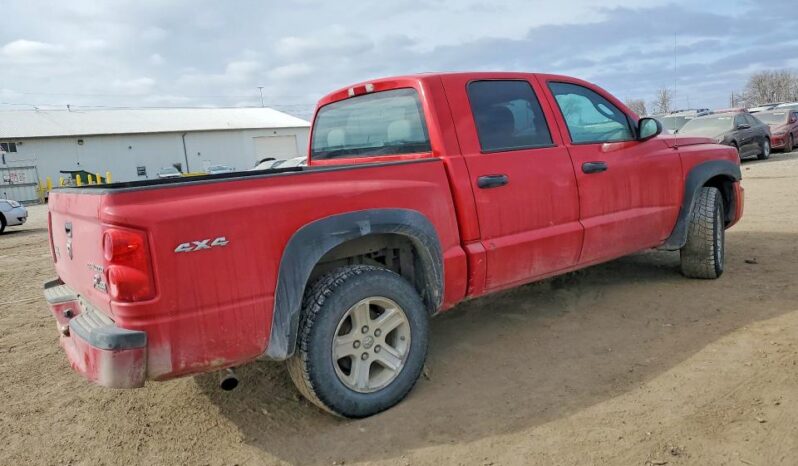 
								2011 Dodge Dakota full									