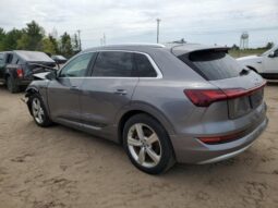 
										2019 Audi E-tron full									