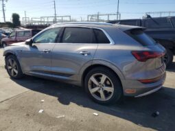 
										2019 Audi E-tron full									