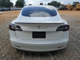 
										2019 Tesla Model 3 full									
