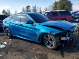 
										2017 BMW X6 full									