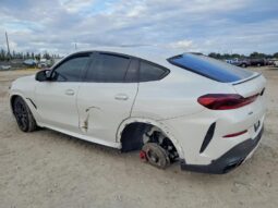 
										2026 BMW X6 full									