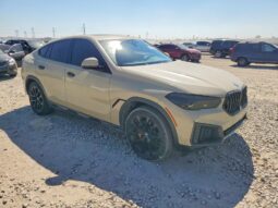 
										2022 BMW X6 full									