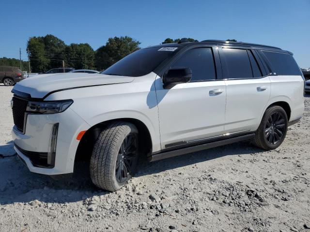 2024 Cadillac Escalade