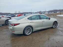 
										2019 Lexus Es 350 full									