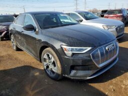 
										2020 Audi E-tron full									