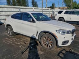 
										2019 BMW X6 full									