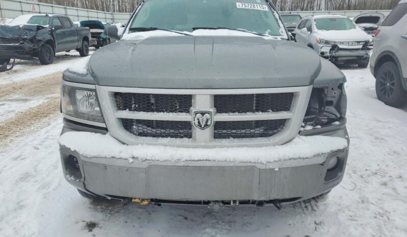 
								2011 Dodge Dakota full									