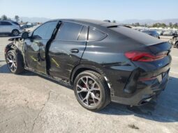 
										2024 BMW X6 full									