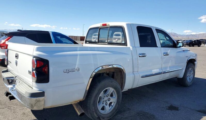 
								2006 Dodge Dakota full									